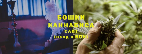 твердый Пересвет