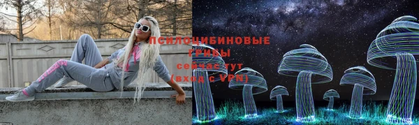 спиды Алексин